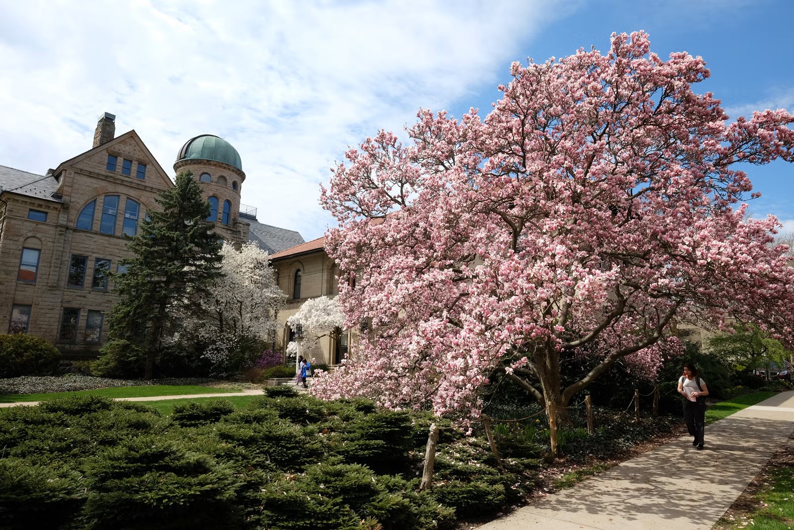 Navigate to the list of Products belonging to this Store Category